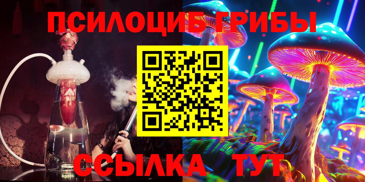 Псилоцибиновые грибы прущие грибы  как найти закладки  Магадан  Вход с VPN 