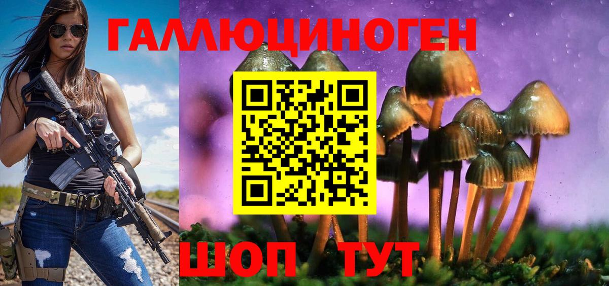 Псилоцибиновые грибы ЛСД Магадан